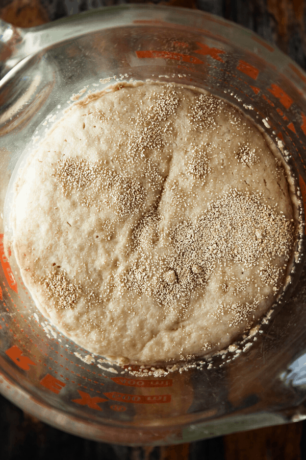 proofed yeast in measuring cup from above 
