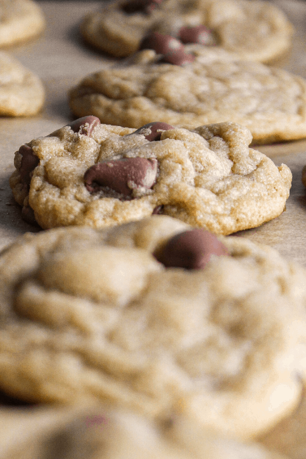 Close up of row of chocolate chip cookies. 