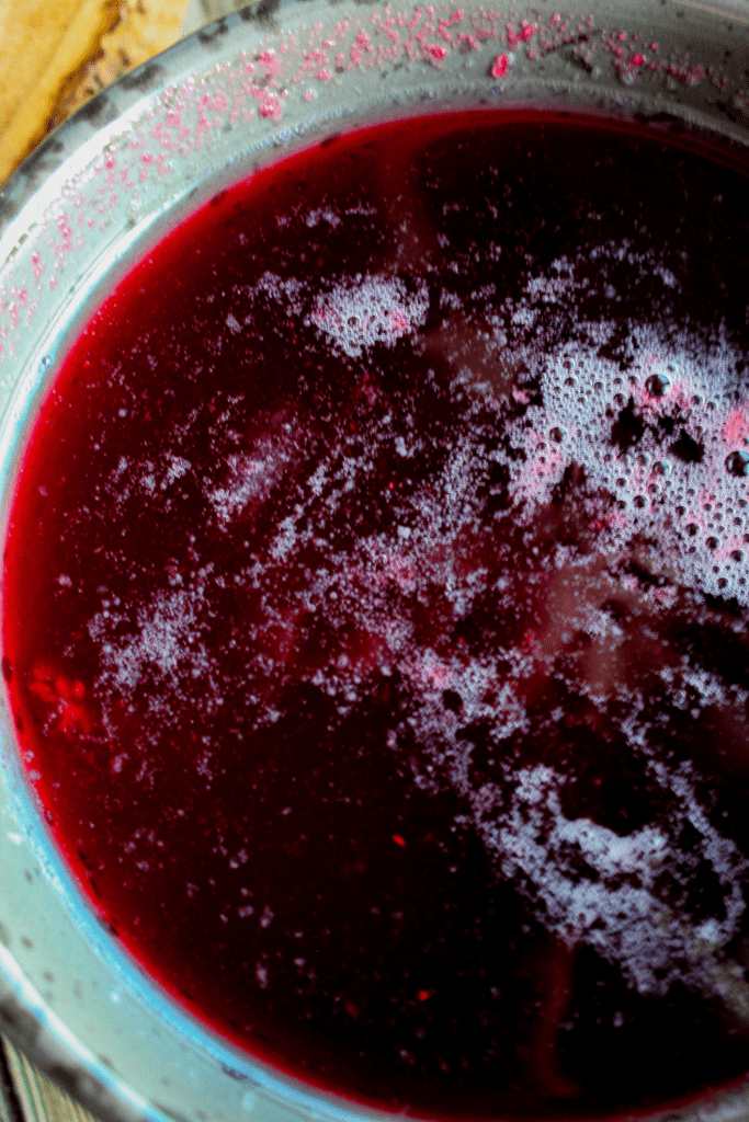 Top down shot of cranberry rosemary simple syrup.