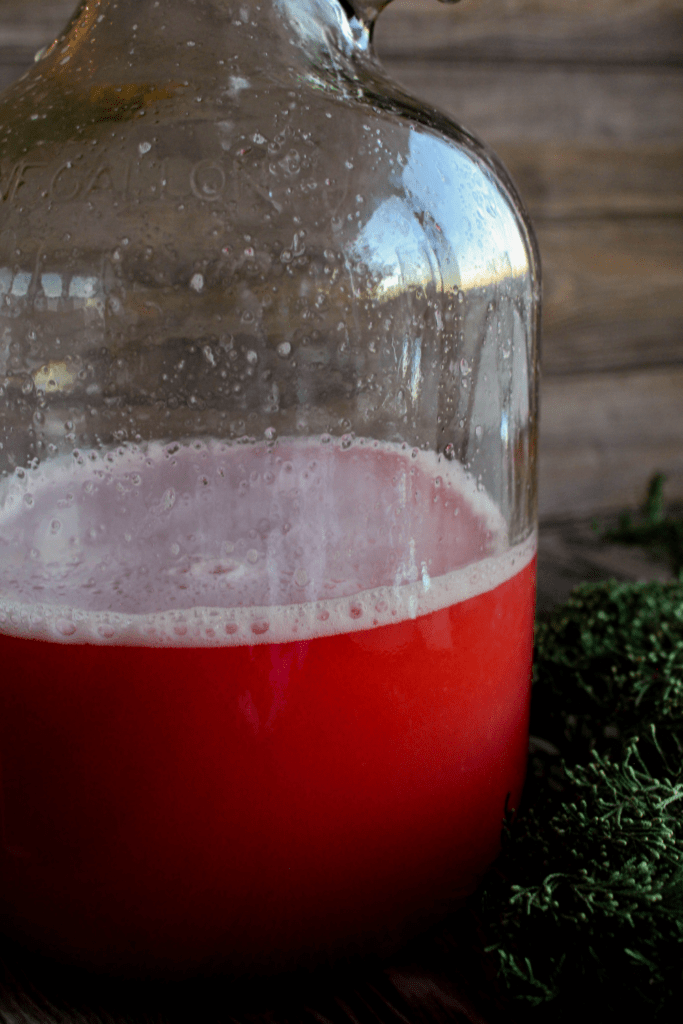 Glass jug filled with cranberry orange mimosa.
