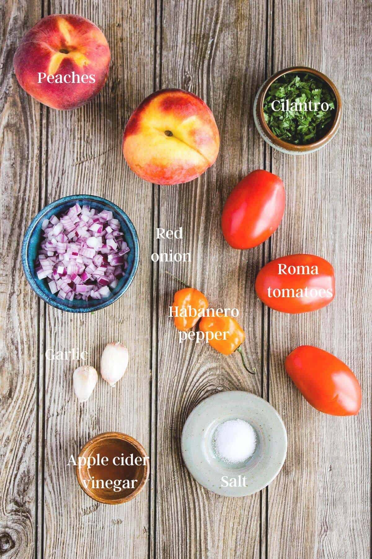 Ingredients for salsa (see recipe card).