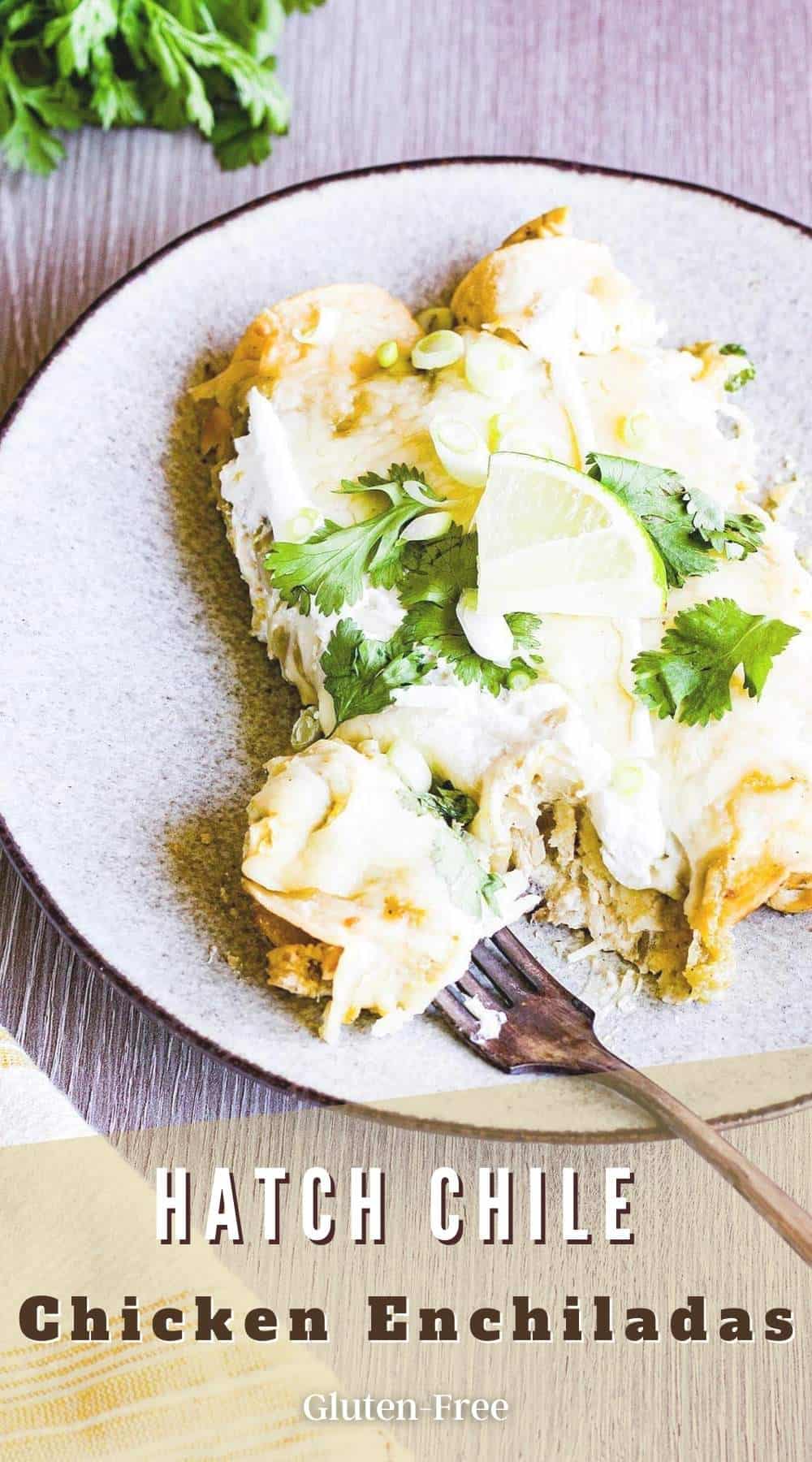 Hatch Chile Chicken Enchiladas Tao of Spice