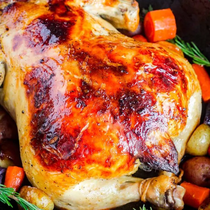 Backside of roast orange brined chicken with assorted root vegetables.