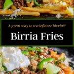 Pinterest graphic for birria fries.