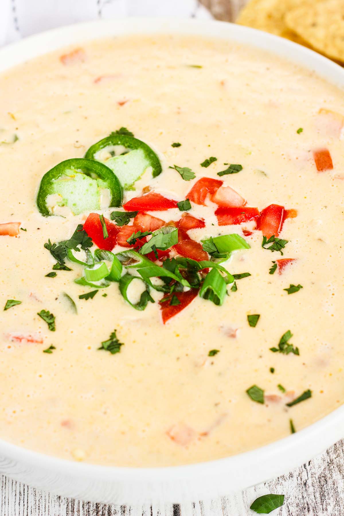 Close-up of 3 cheese queso garnished with cilantro, diced tomato, jalapeno slices, and green onions.