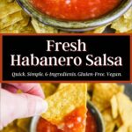 Pinterest graphic for fresh habanero salsa.