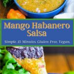 Pinterest graphic for habanero mango salsa.